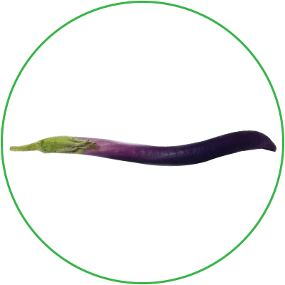 Eggplant Olivia